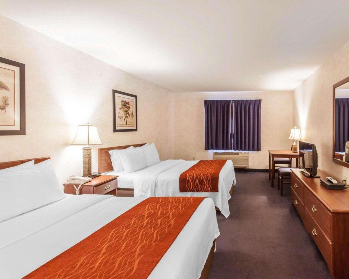 Queen Room with Two Queen Beds - Non-Smoking at Holiday Inn Express & Suites Tumwater – Olympia by IHG
