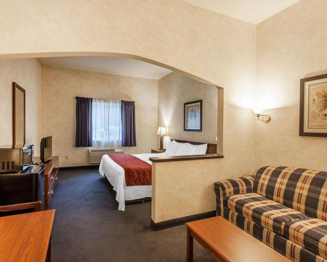 King Room - Non-Smoking at Holiday Inn Express & Suites Tumwater – Olympia by IHG