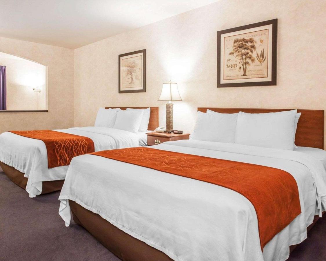 Queen Room with Two Queen Beds - Non-Smoking at Holiday Inn Express & Suites Tumwater – Olympia by IHG