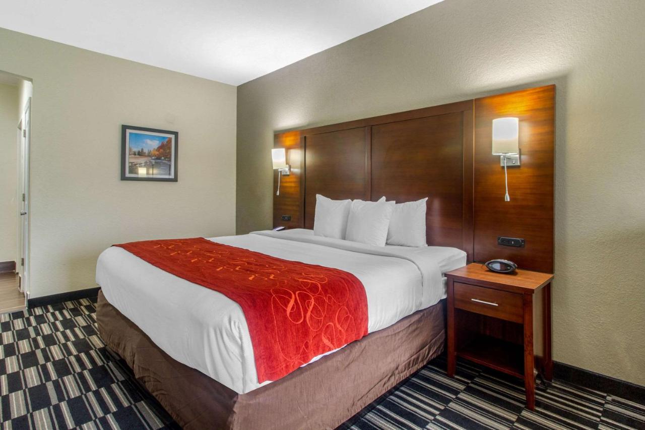 King Suite at Comfort Suites Danville