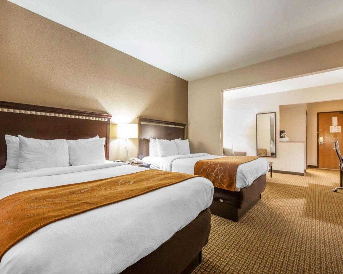 Suite with Two Double Beds - Non-Smoking at Comfort Suites London South