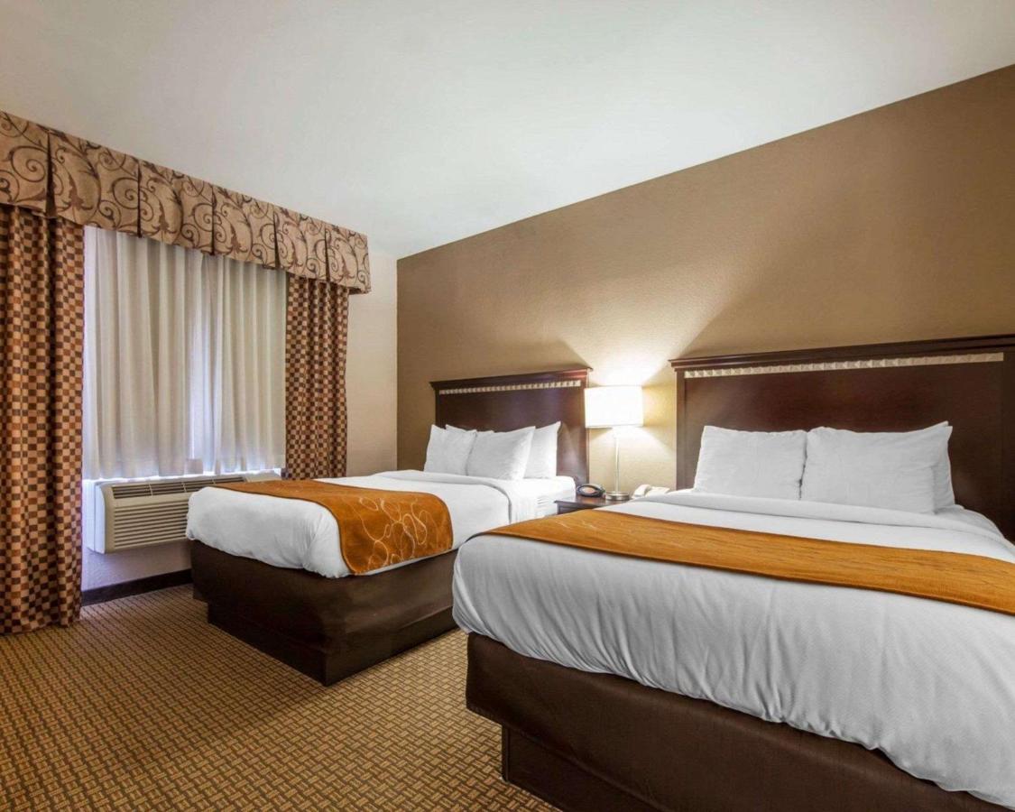 Suite with Two Double Beds - Non-Smoking at Comfort Suites London South