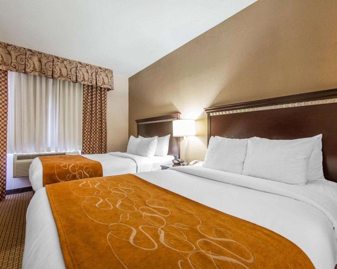 Suite with Two Double Beds - Non-Smoking at Comfort Suites London South