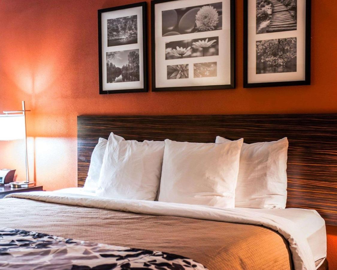 King Suite - Non-Smoking at Sleep Inn & Suites Fort Campbell