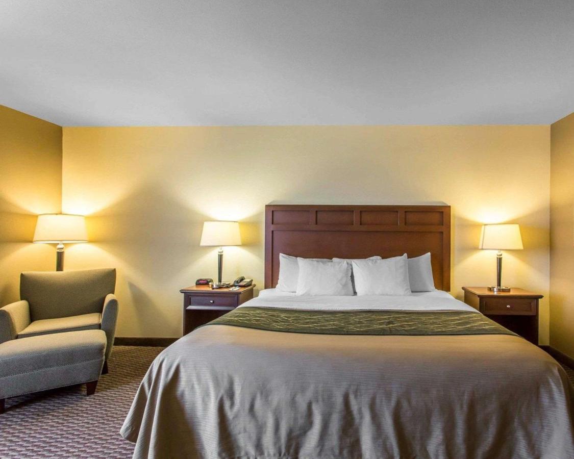 Standard King Room - Non-Smoking  at Comfort Inn & Suites Madisonville