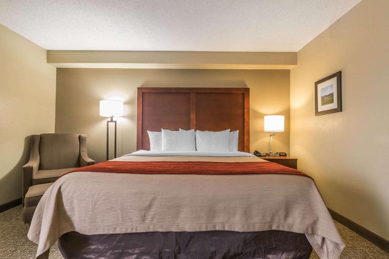 Queen Room - Accessible/Nonsmoking at Comfort Inn & Suites Lexington - Hamburg I-75