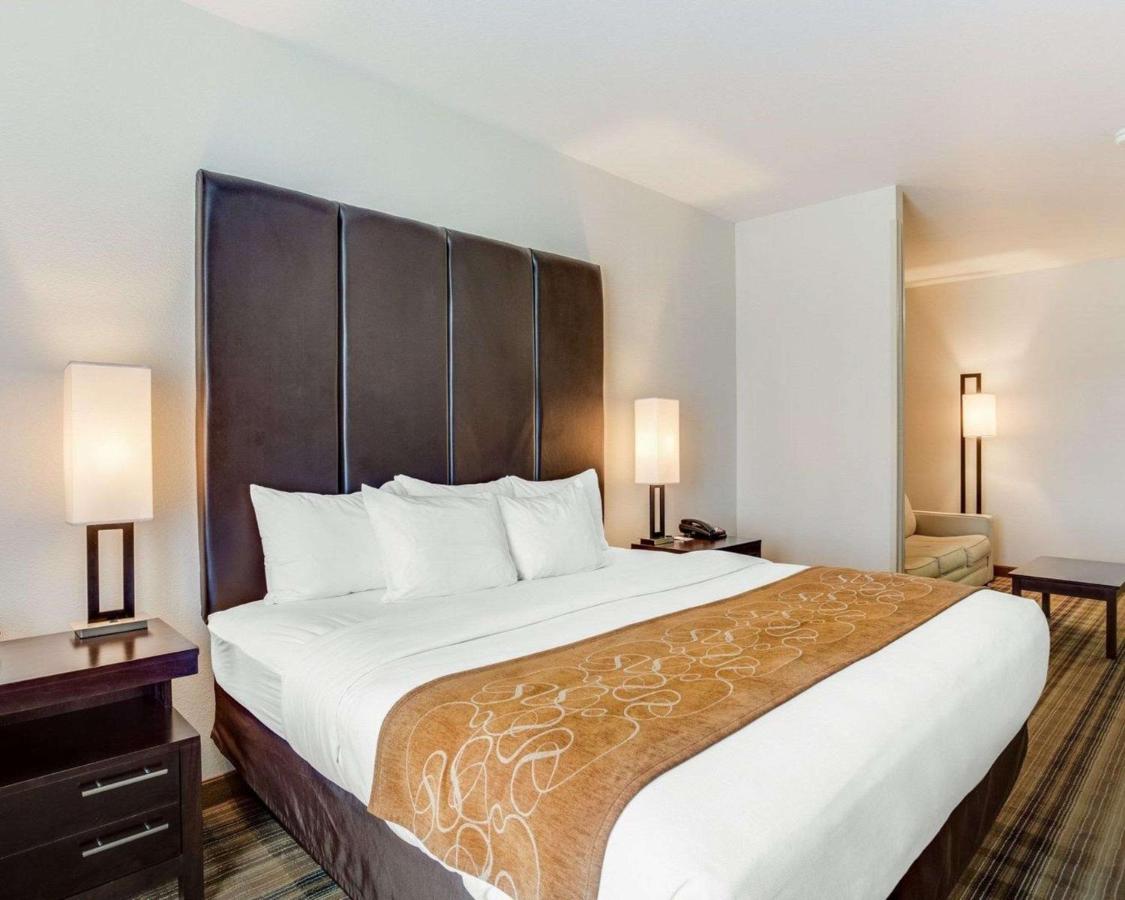 Deluxe King Room at Comfort Suites Mandeville - Covington