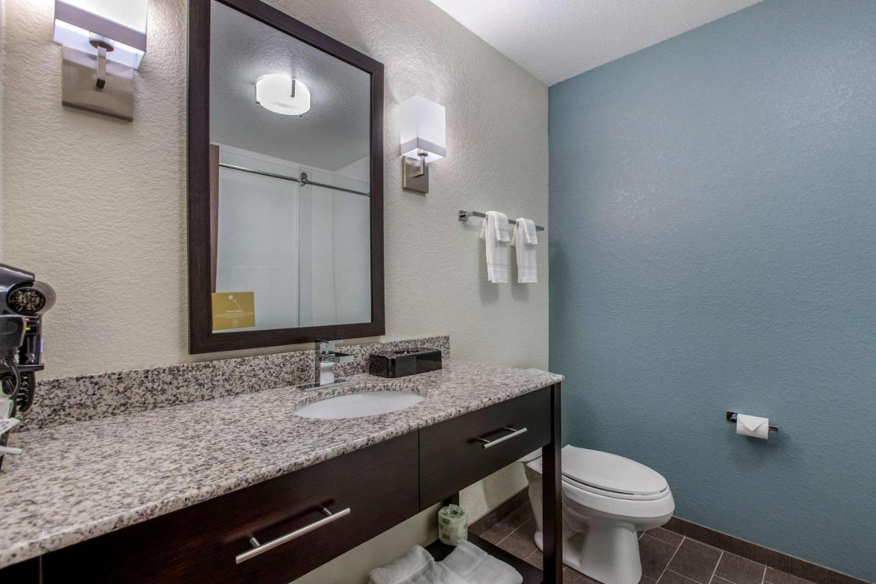 King Room - Non-Smoking at Sleep Inn & Suites Ankeny - Des Moines