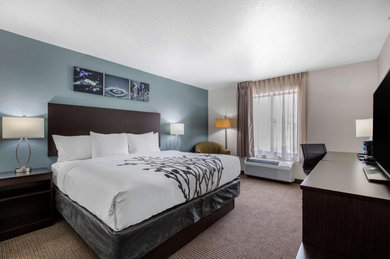 King Room - Non-Smoking at Sleep Inn & Suites Ankeny - Des Moines