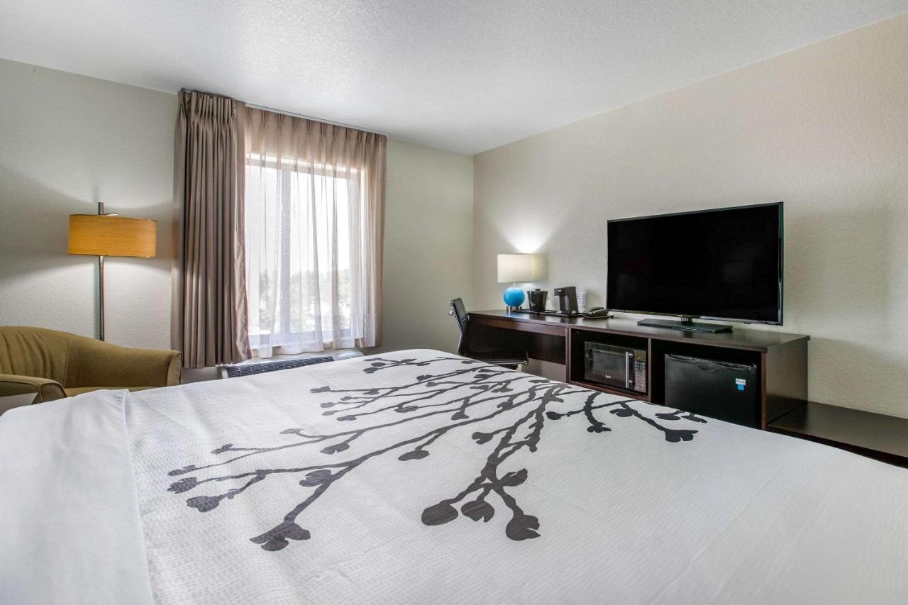 King Room - Non-Smoking at Sleep Inn & Suites Ankeny - Des Moines
