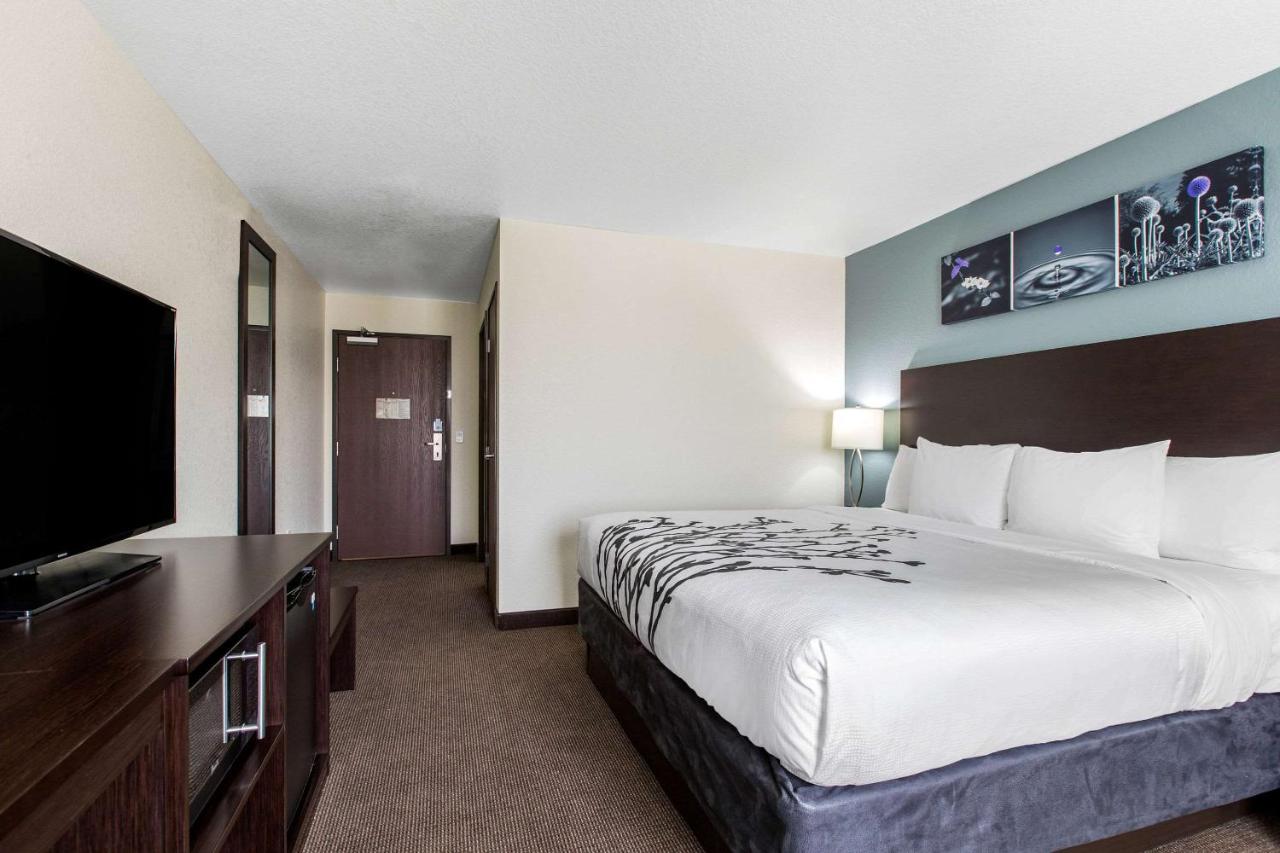 King Room - Non-Smoking at Sleep Inn & Suites Ankeny - Des Moines