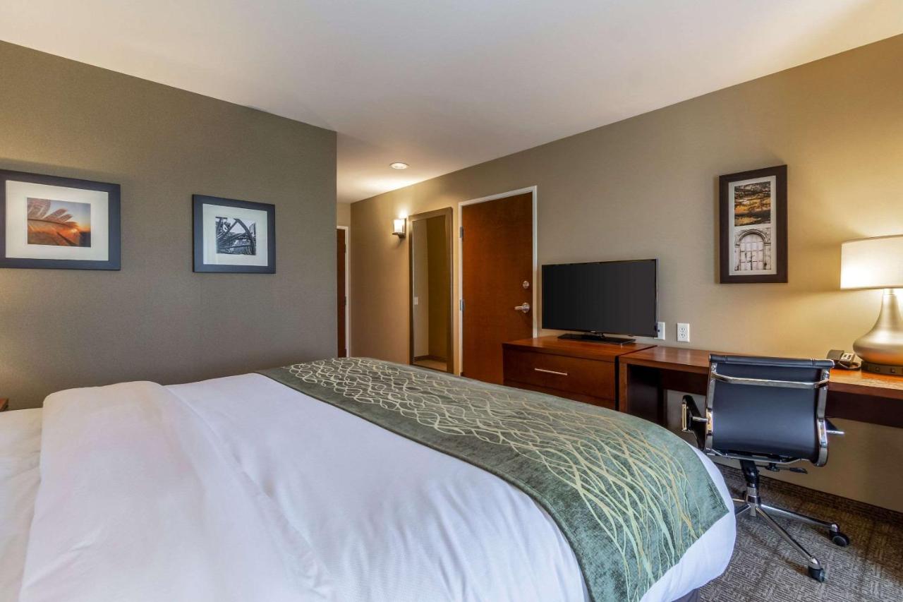 King Room - Non-Smoking at Comfort Inn & Suites – Harrisburg Airport – Hershey South