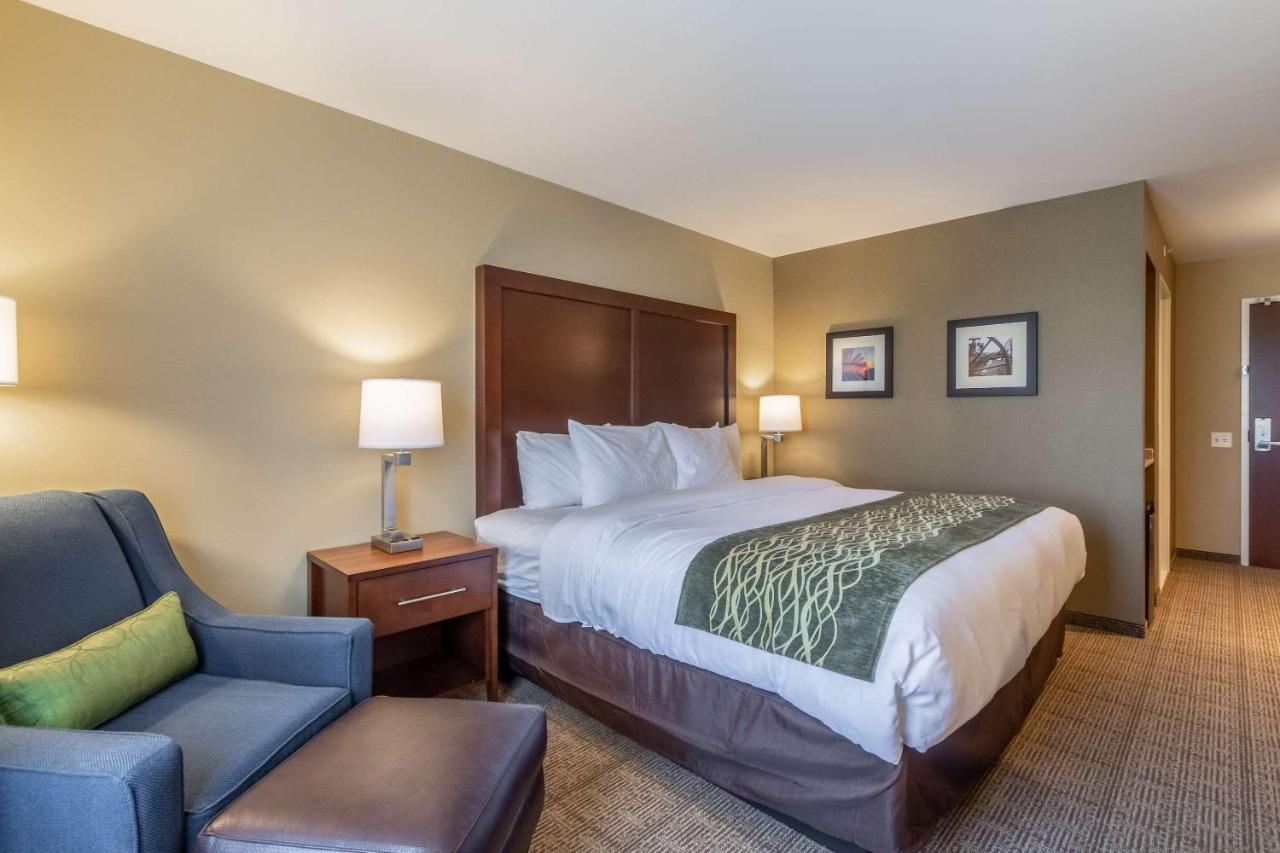 King Room - Non-Smoking at Comfort Inn & Suites – Harrisburg Airport – Hershey South