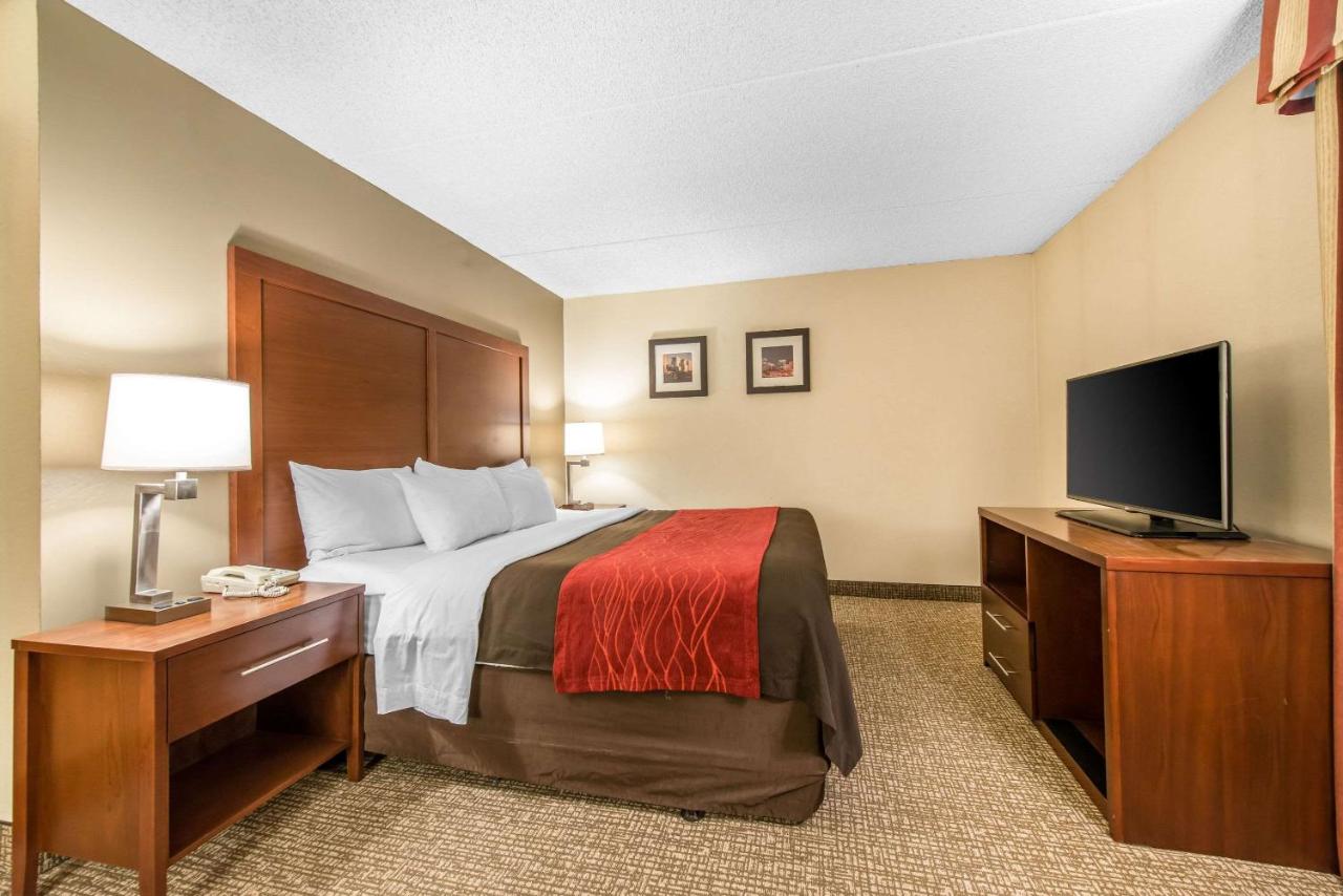 One-Bedroom King Suite with Sofa Bed - Non-Smoking at Budget Inn - Denver East