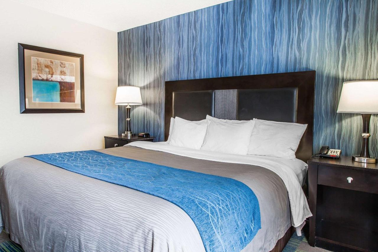 King Room - Accessible/Non-Smoking at Comfort Inn & Suites Meriden East
