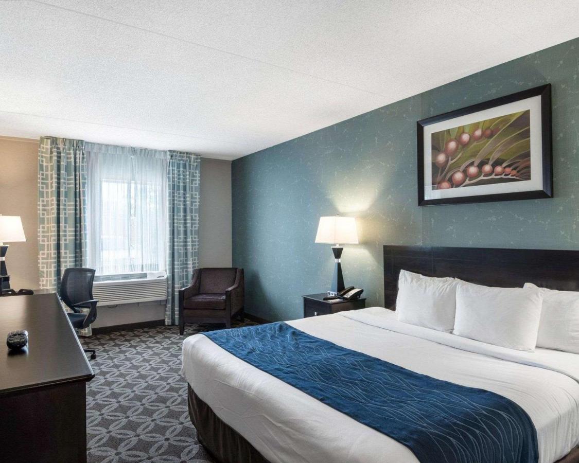 One King Accessible Room at Comfort Inn Rehoboth Beach