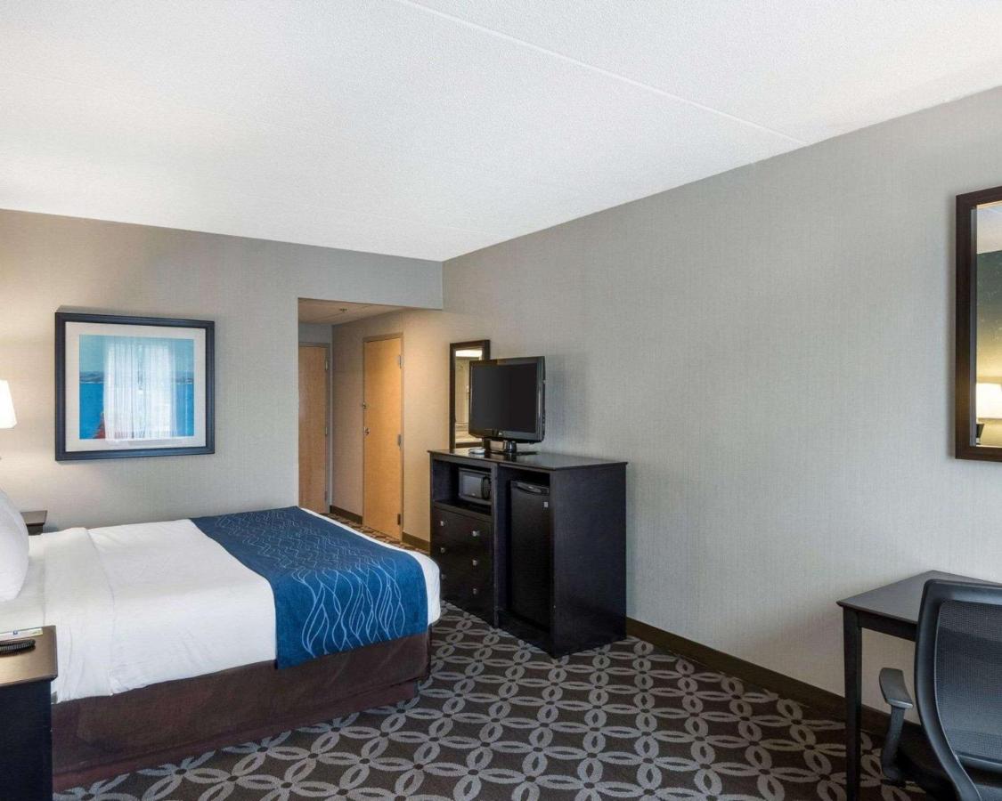 One King Accessible Room at Comfort Inn Rehoboth Beach