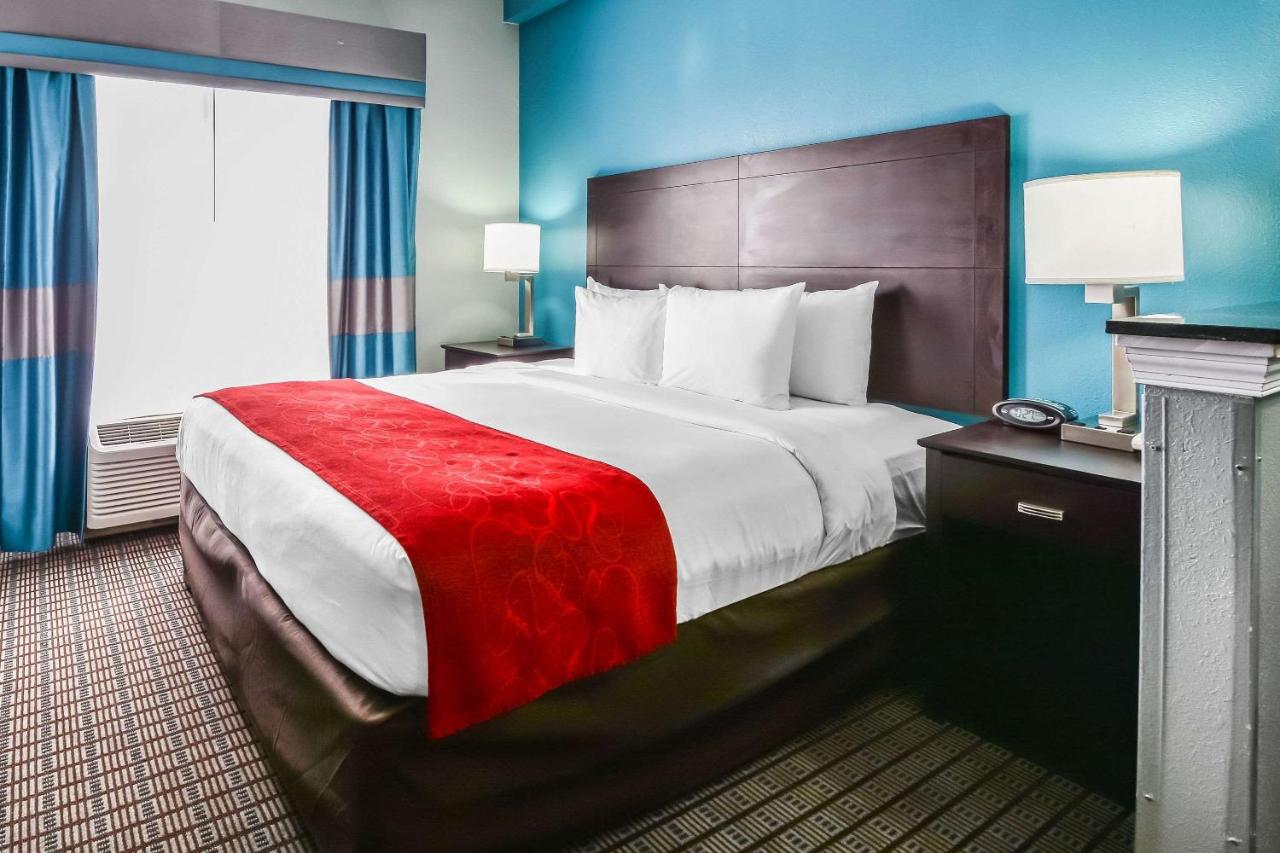 King Suite - Disability Access/Non-Smoking at Comfort Suites Tampa - Brandon