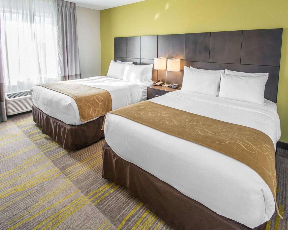 Queen Suite - Disability Access/Non-Smoking at Comfort Suites Miami Airport North