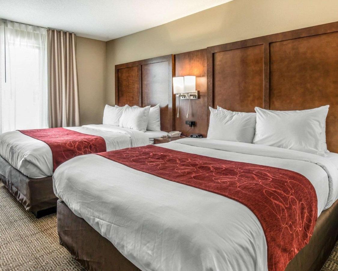 Queen Suite with Sofa Bed at Comfort Suites Dunnellon near Rainbow Springs