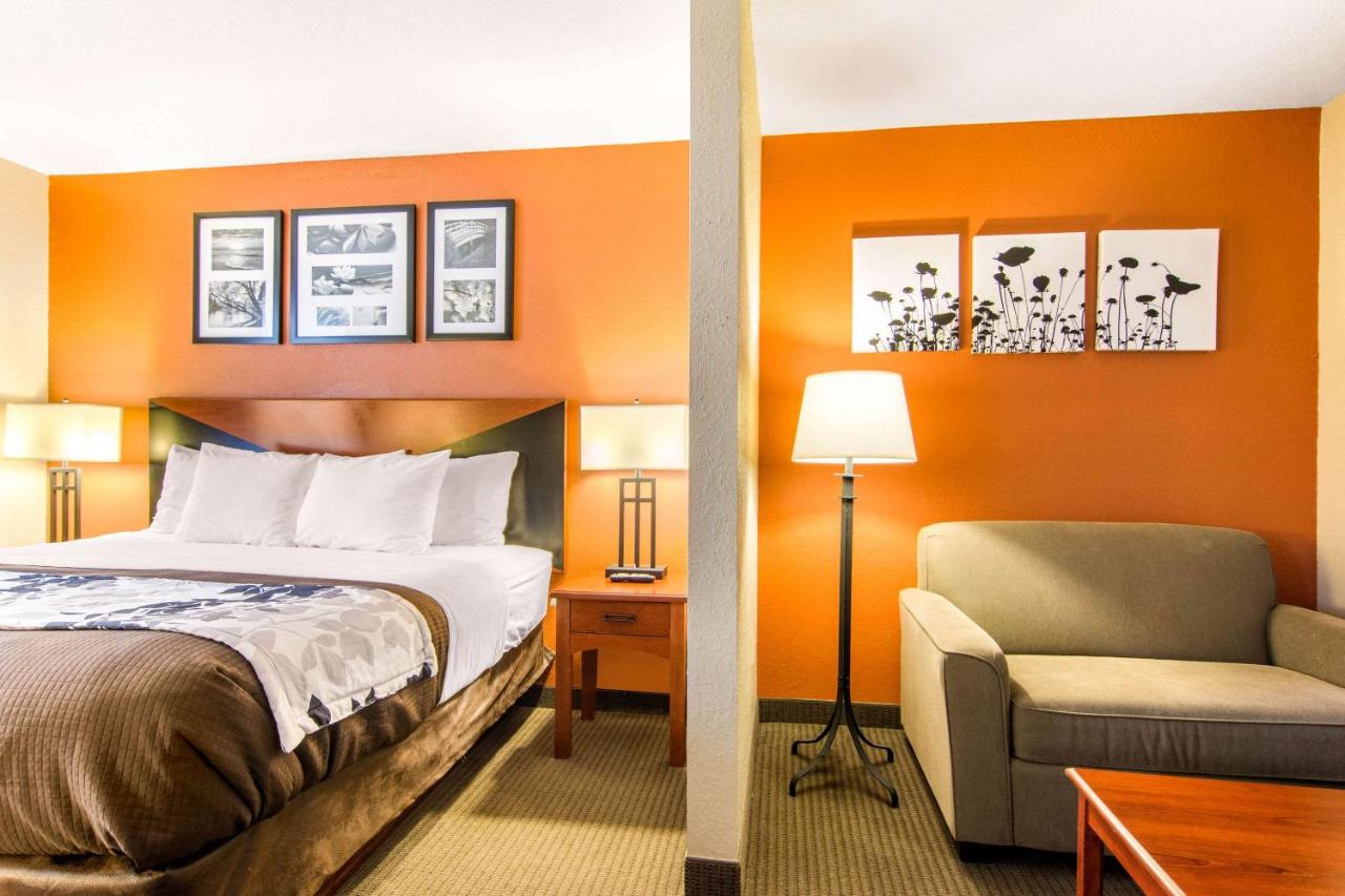King Suite - Non-Smoking at Sleep Inn & Suites Athens South