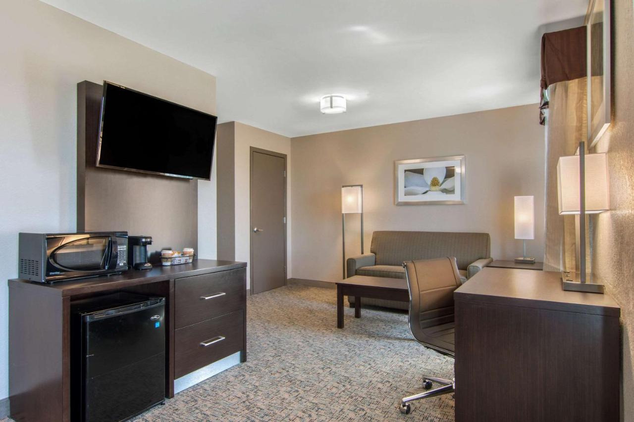 King Suite with Sofa Bed - Non-Smoking at Clarion Inn & Suites Atlanta Downtown