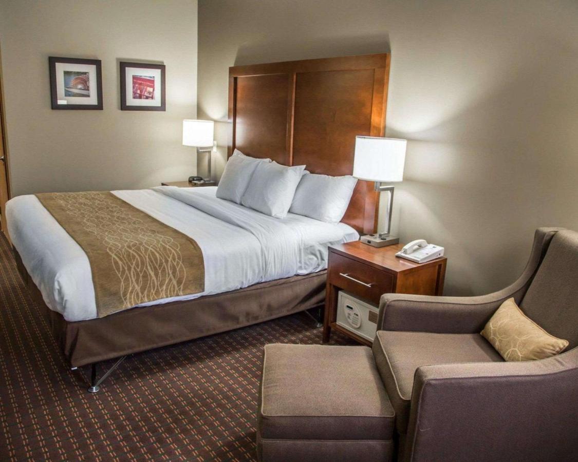Room #48977011 at Comfort Inn & Suites Riverview near Davenport and I-80