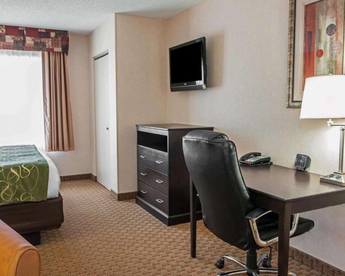 King Suite - Disability Access/Non-Smoking at Comfort Suites Southport