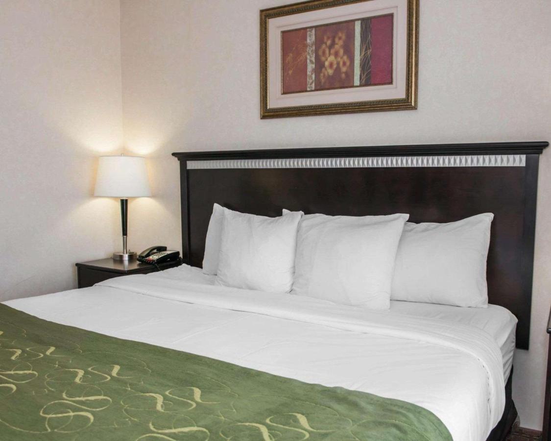 King Suite - Disability Access/Non-Smoking at Comfort Suites Southport