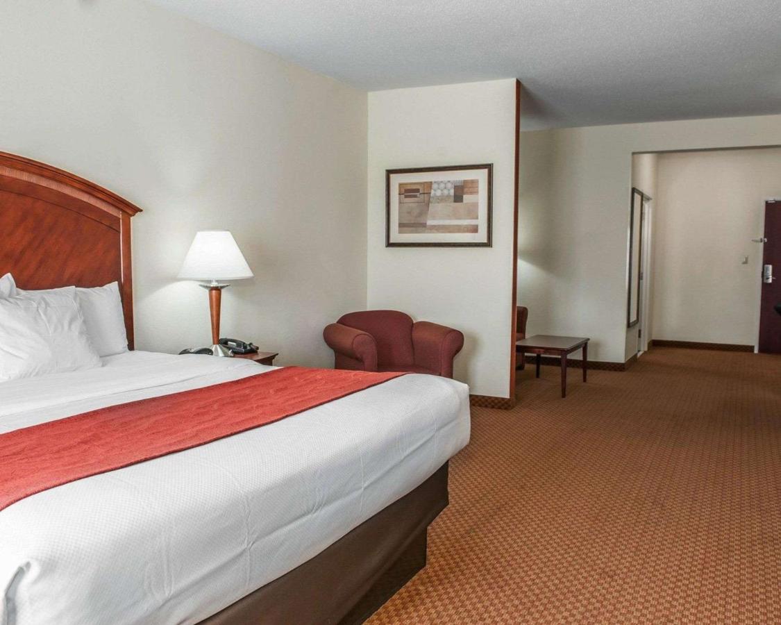 King Suite - Non-Smoking at Comfort Suites near Indianapolis Airport