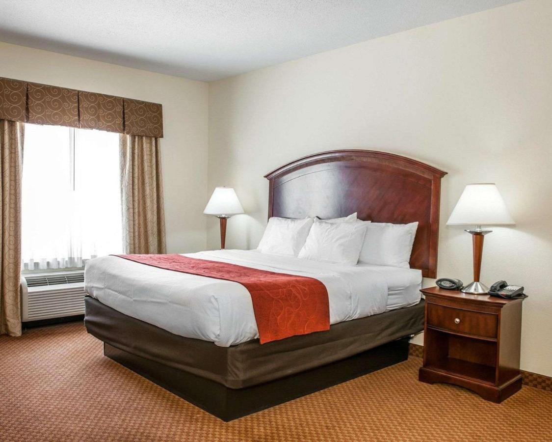 King Suite - Non-Smoking at Comfort Suites near Indianapolis Airport