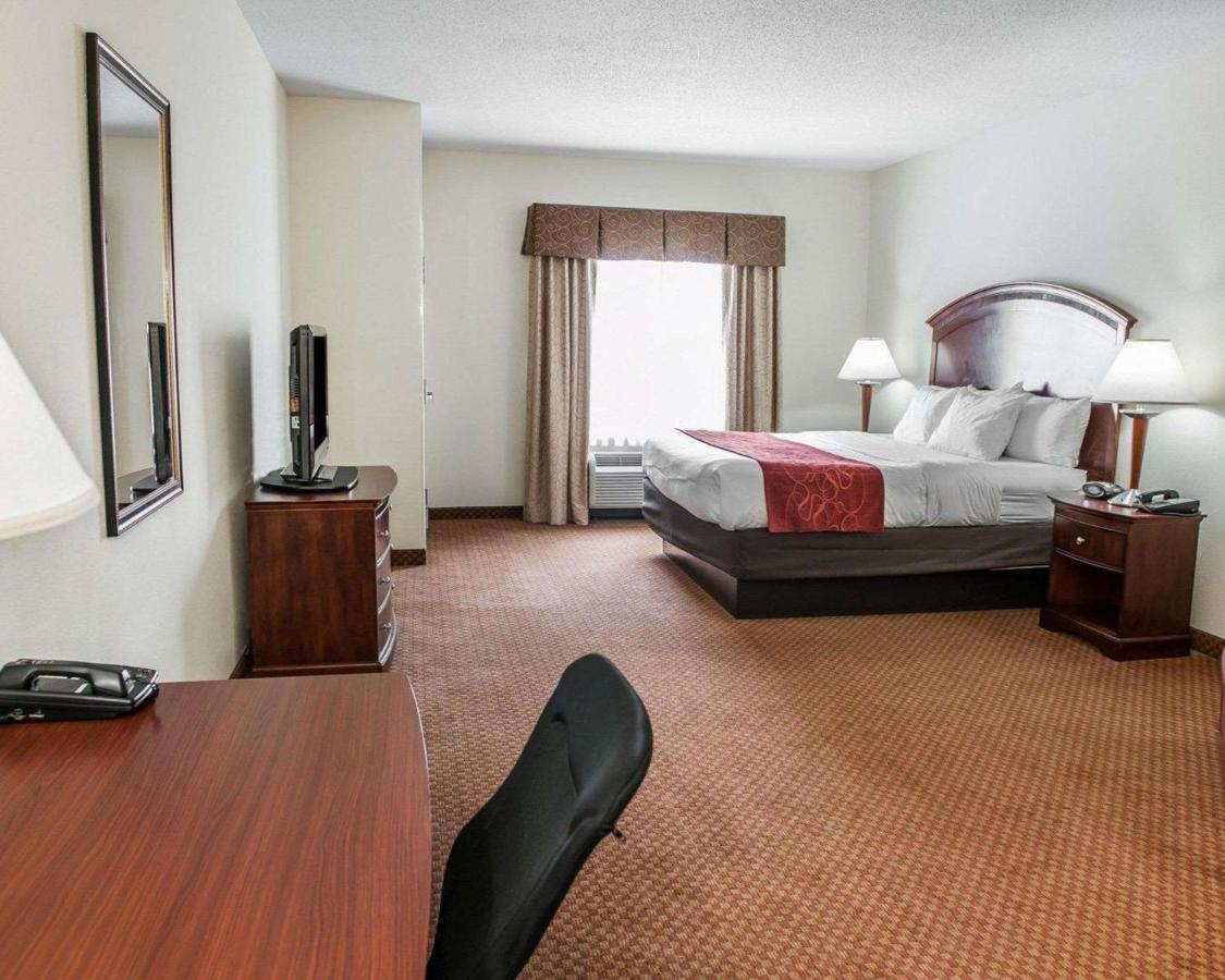 King Suite - Non-Smoking at Comfort Suites near Indianapolis Airport
