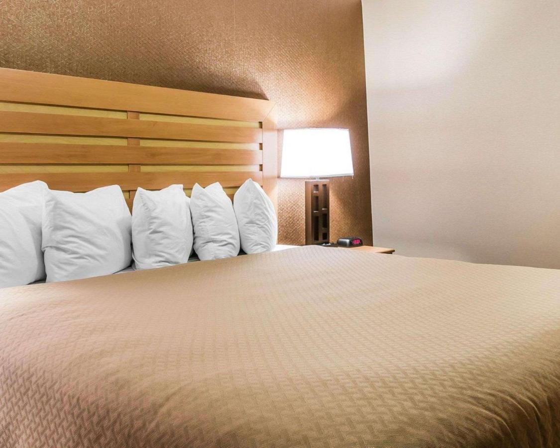 King Suite with Sofa Bed - Non-Smoking at Quality Inn & Suites Warren - Detroit