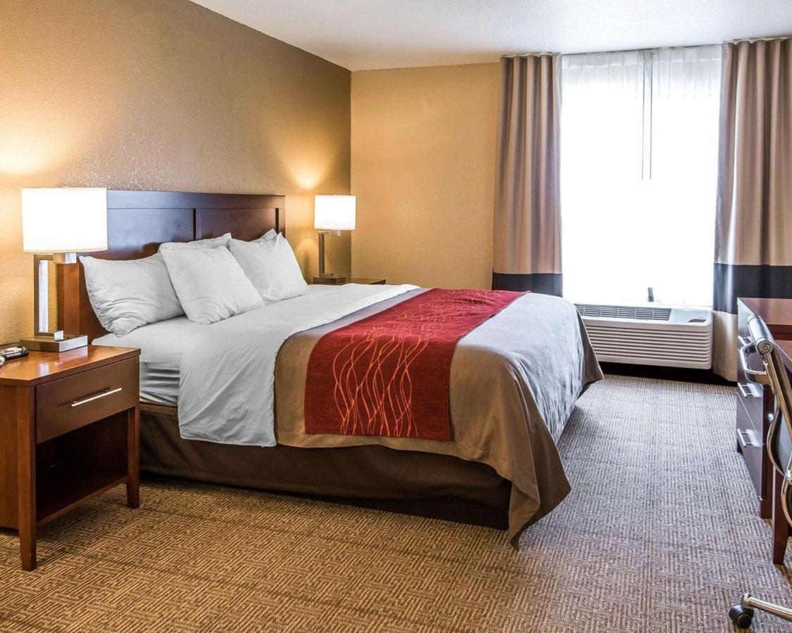Standard King Room - Non-Smoking  at Quality Inn & Suites Bethany