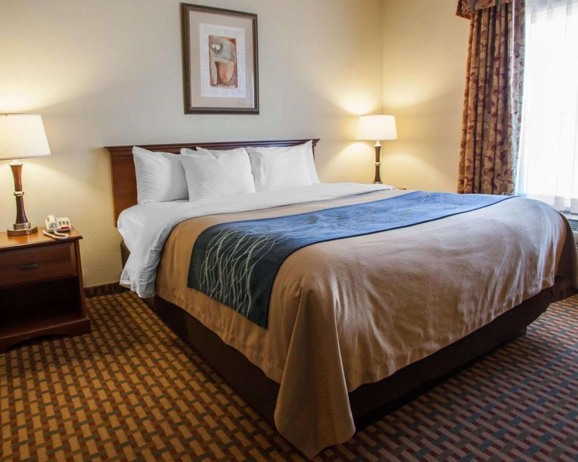 King Room - Non-Smoking at Comfort Inn & Suites Harrisonville