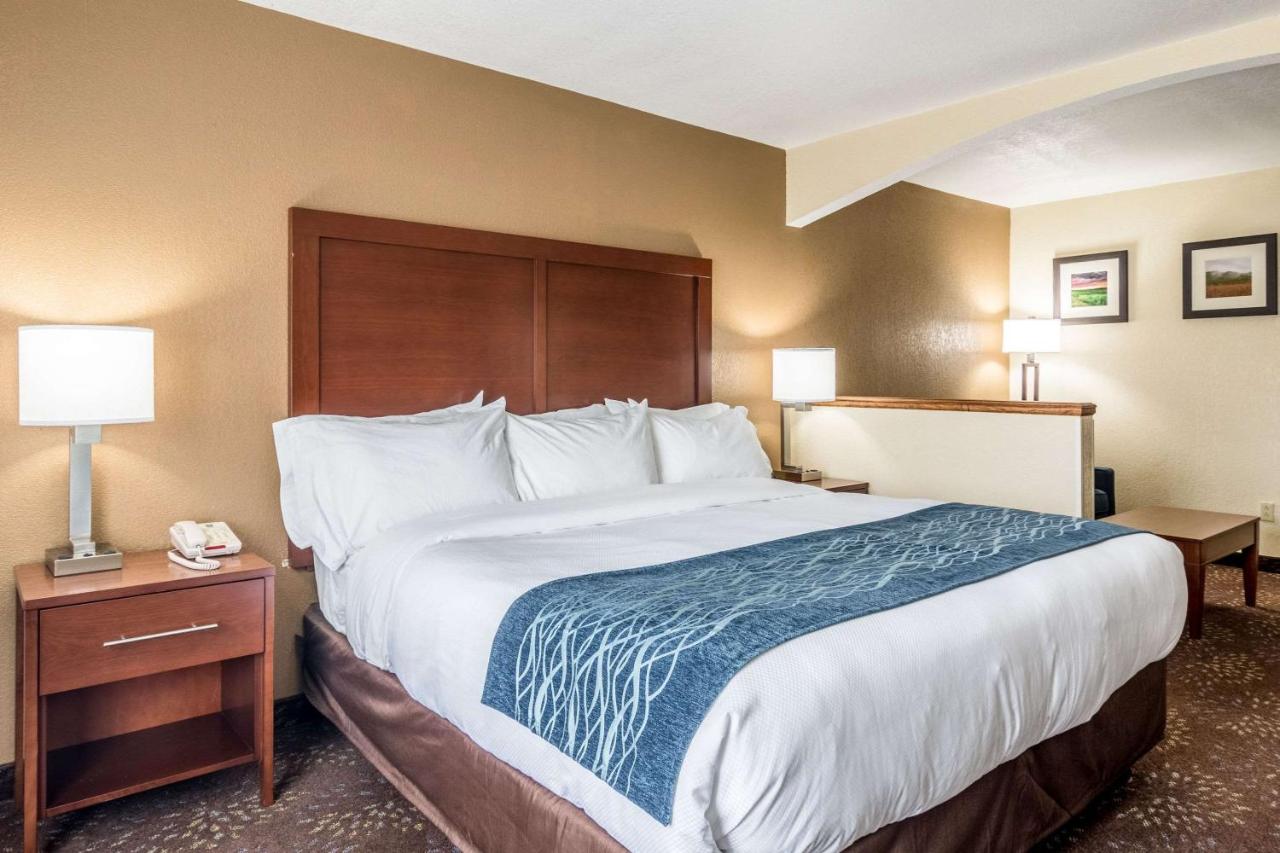 Efficiency King Suite with Sofa Bed - Non-Smoking at Comfort Inn & Suites - Hannibal