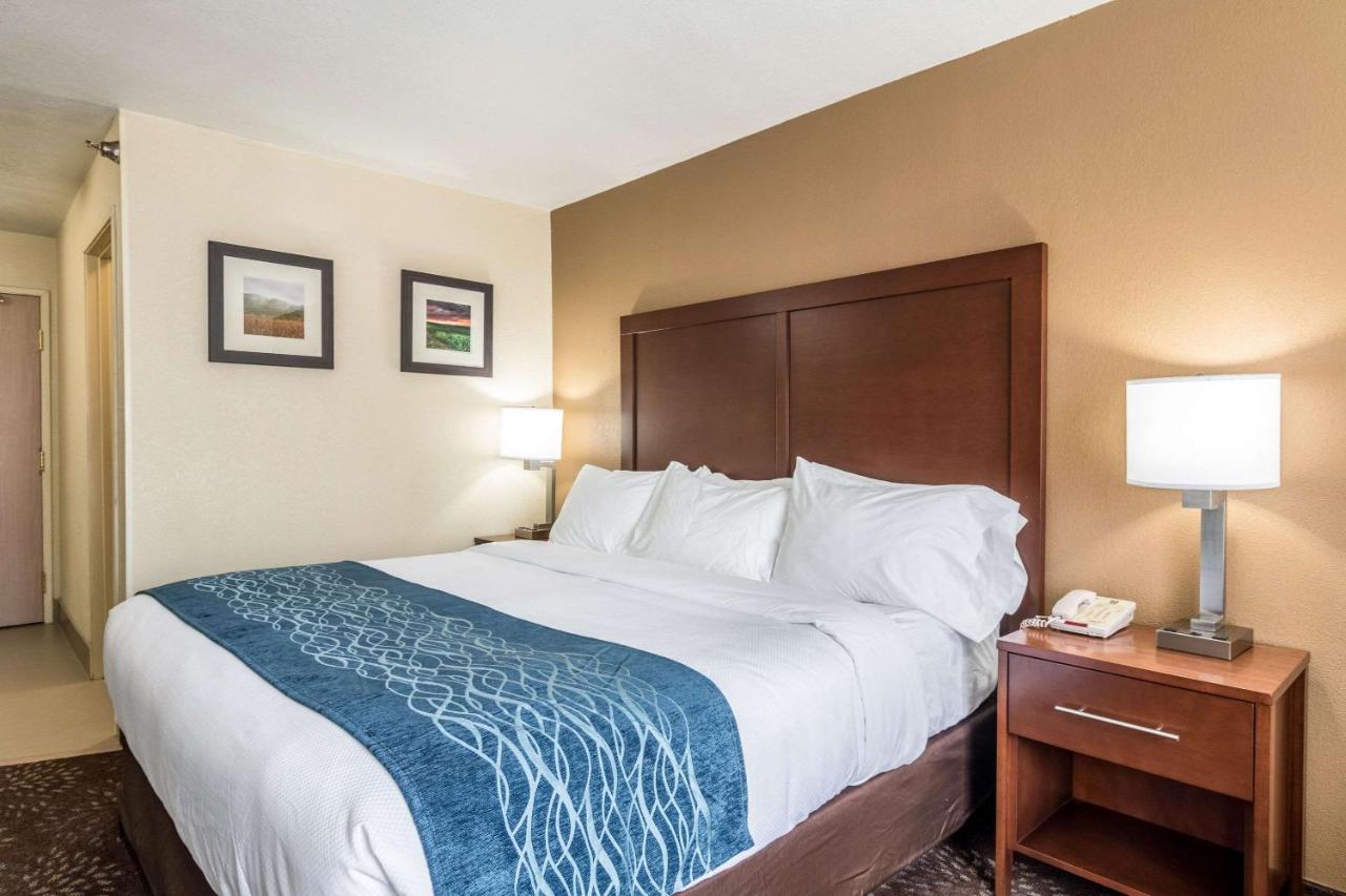 King Room - Non-Smoking at Comfort Inn & Suites - Hannibal