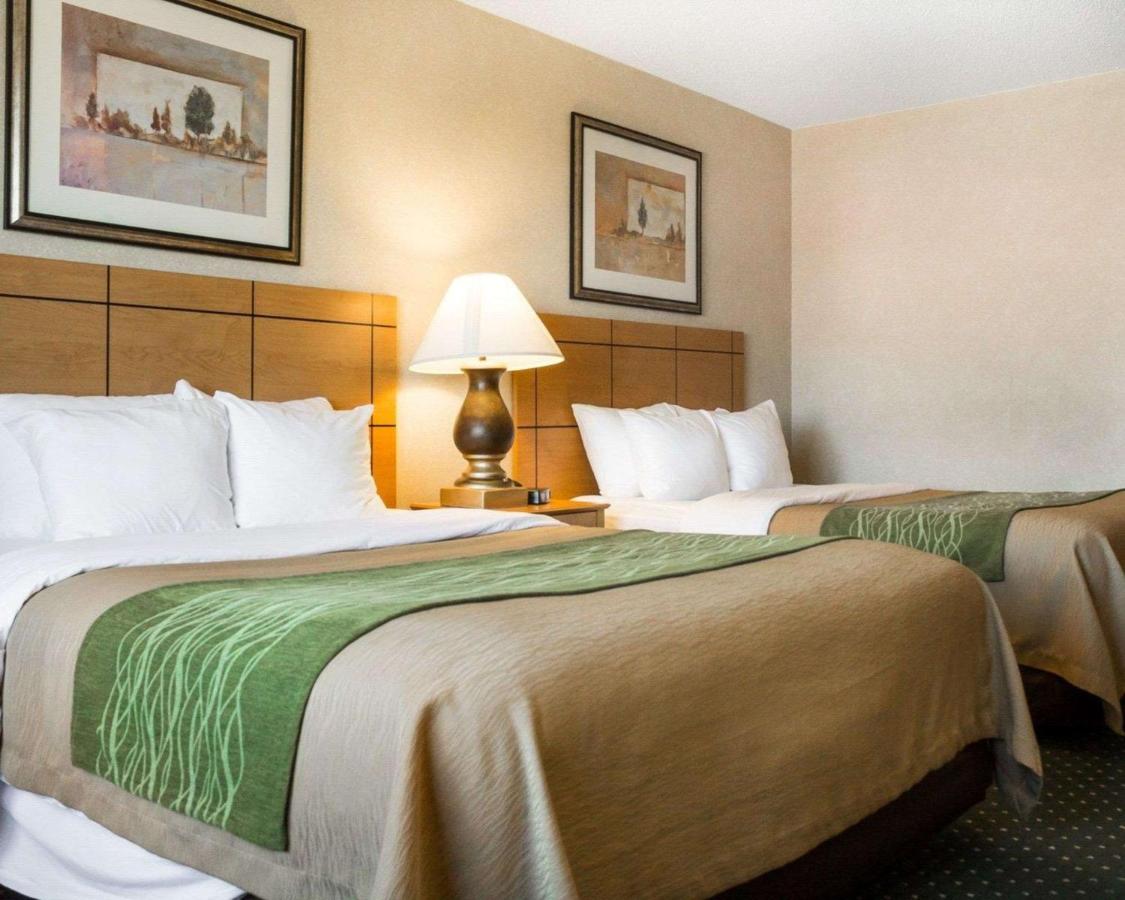 Queen Room with Two Queen Beds - Non-Smoking at Comfort Inn Jamestown South