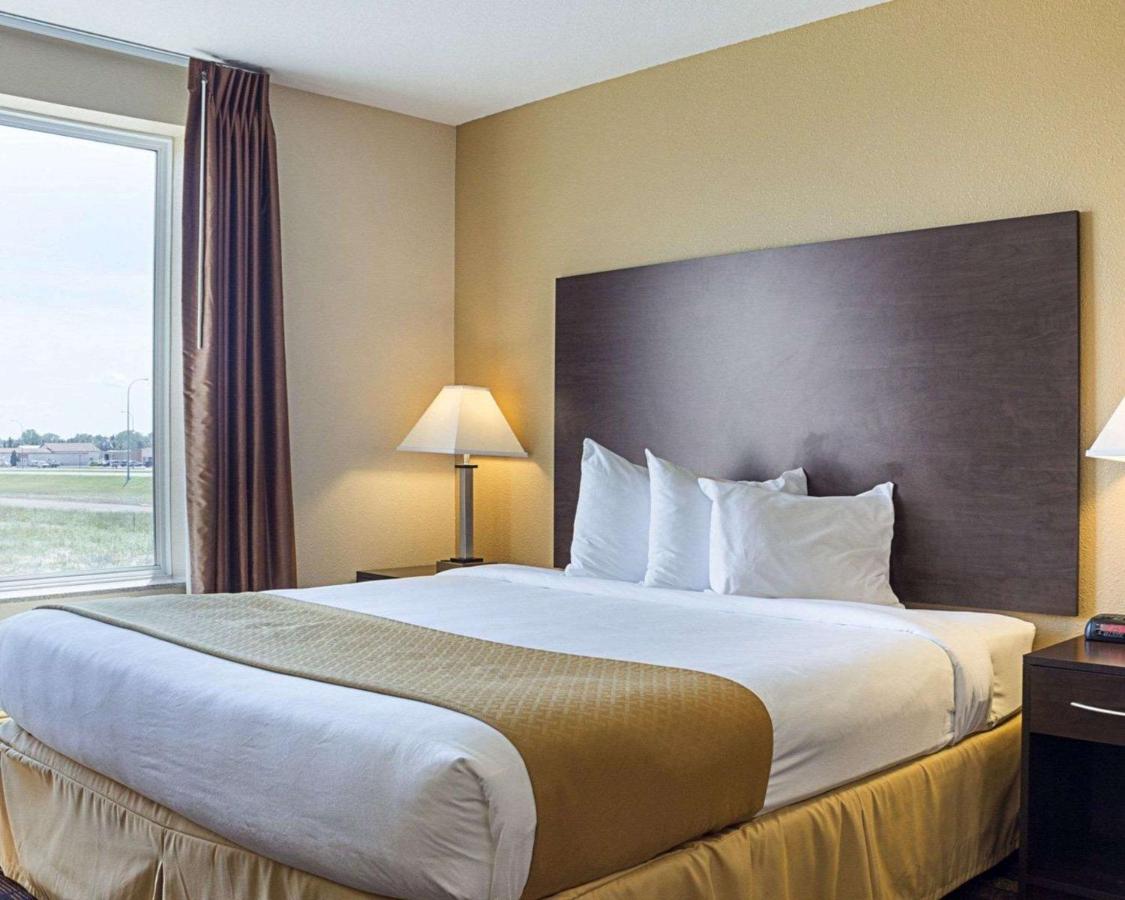 King Room - Non-Smoking at Quality Inn & Suites Minot North