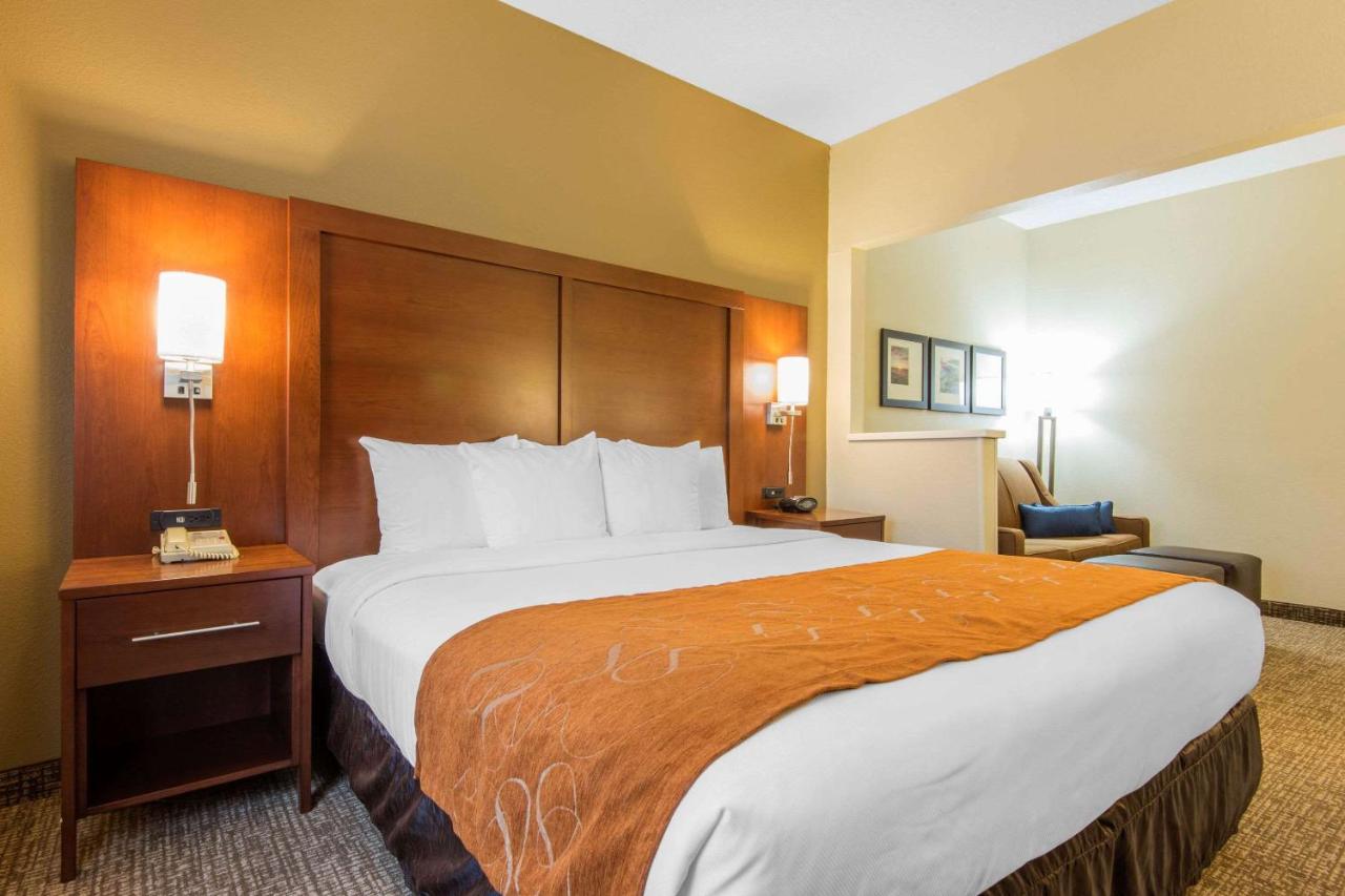 King Suite - Non-Smoking at Comfort Suites Rochester Henrietta University Area