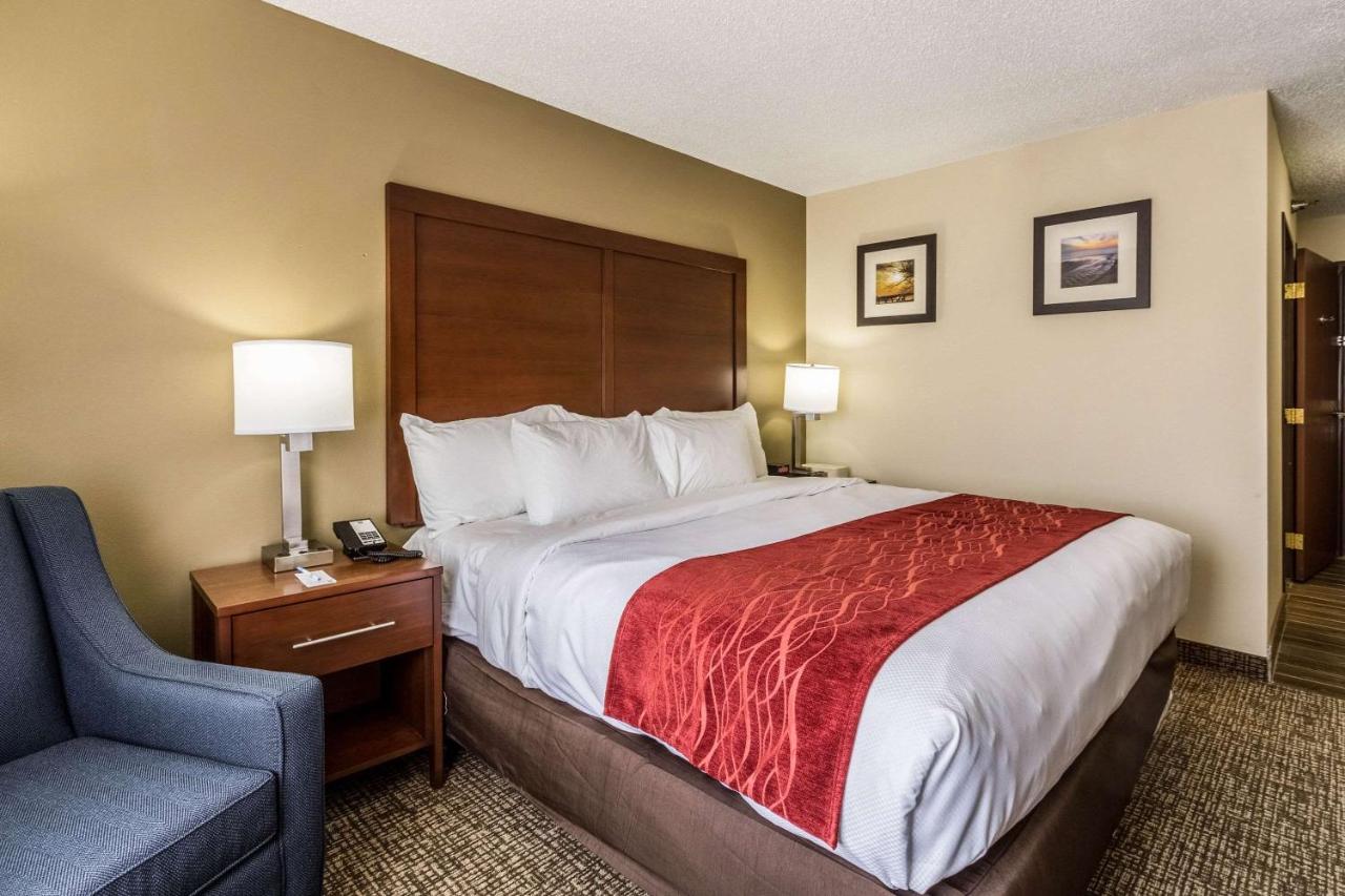 King Room - Disability Access/Non-Smoking at Comfort Inn Norwalk - Sandusky