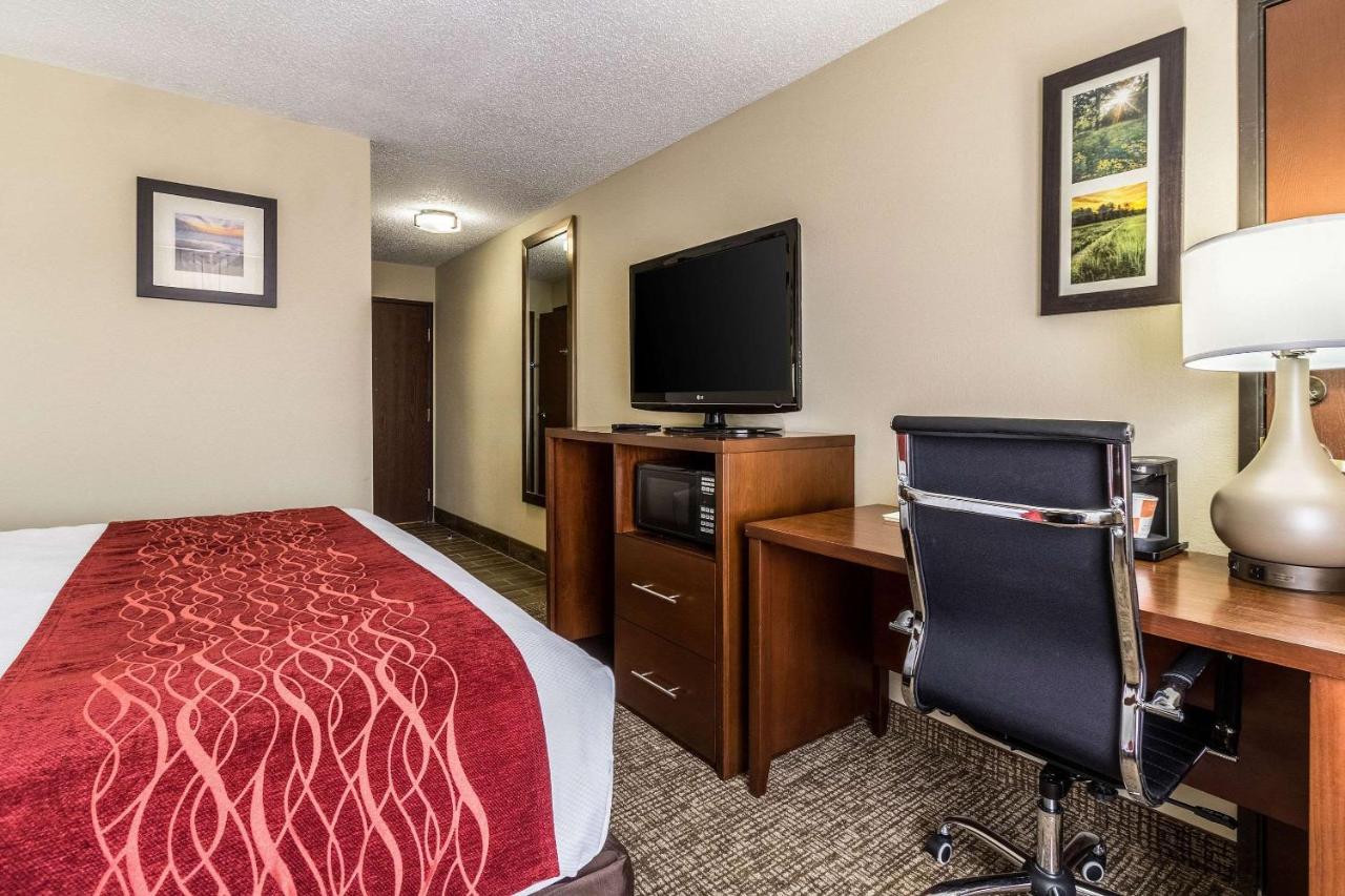 King Room - Disability Access/Non-Smoking at Comfort Inn Norwalk - Sandusky