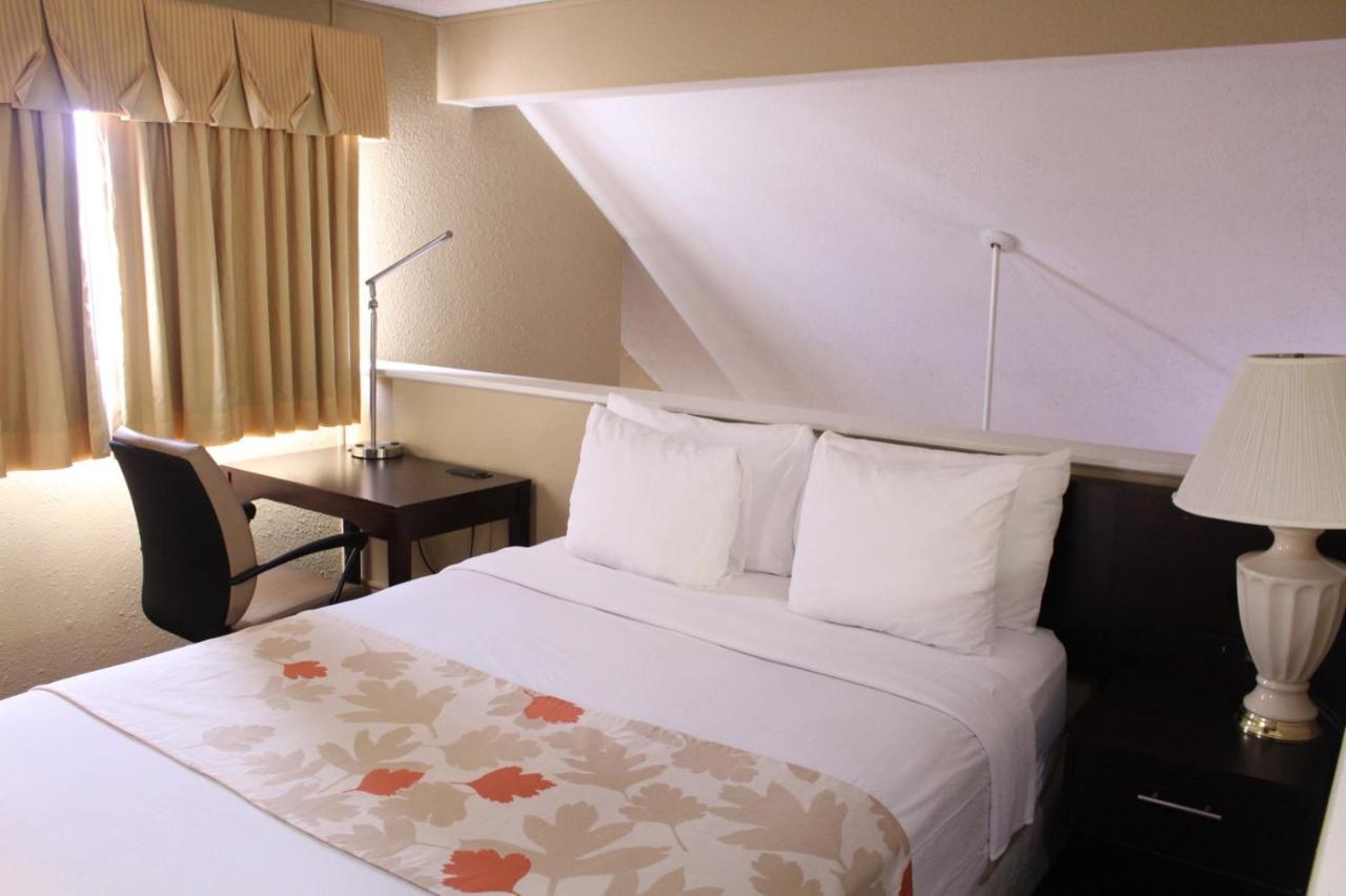 1 King Bed and 1 Queen Bed, Two-Bedroom, Suite, Non-Smoking at Hawthorn Suites by Wyndham Wichita East