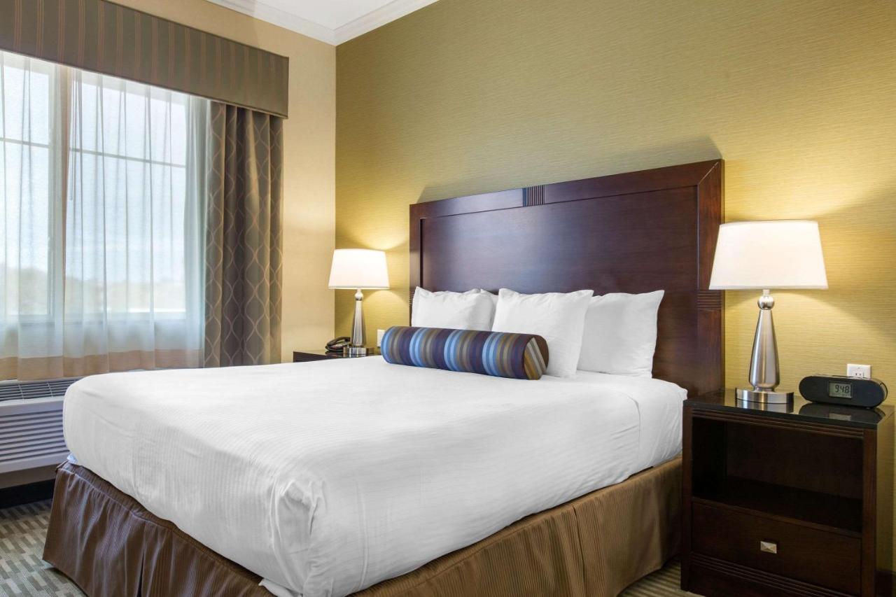King Suite with Sofa Bed - Pet Friendly/Non-Smoking at The Oaks Hotel Paso Robles