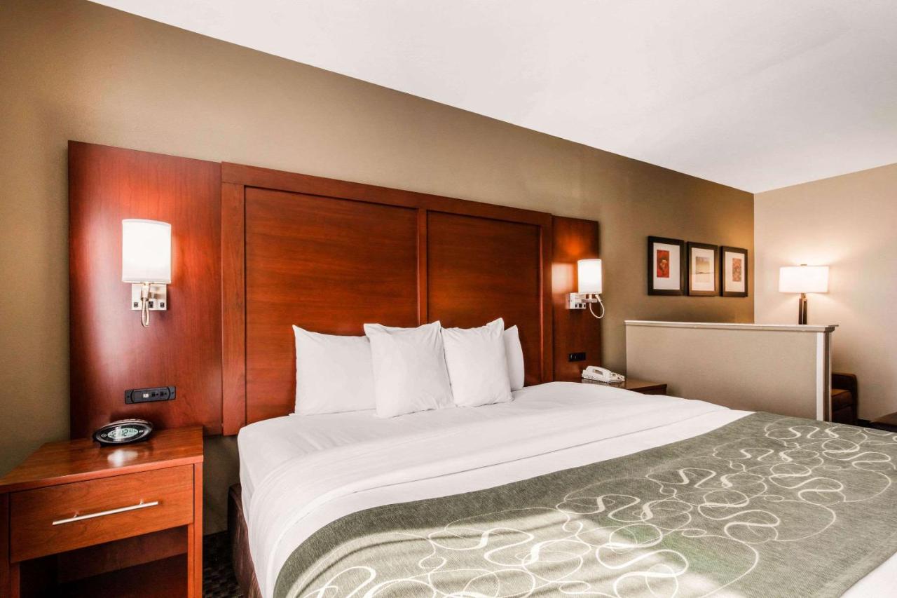 Superior King Suite - Non-Smoking at Comfort Suites Tuscaloosa near University
