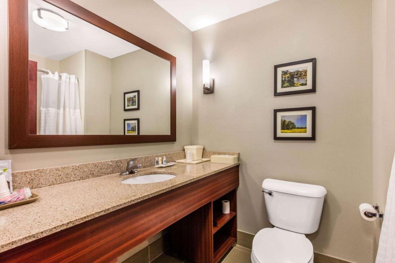 King Suite - Accessible/Non-Smoking at Comfort Suites Tuscaloosa near University