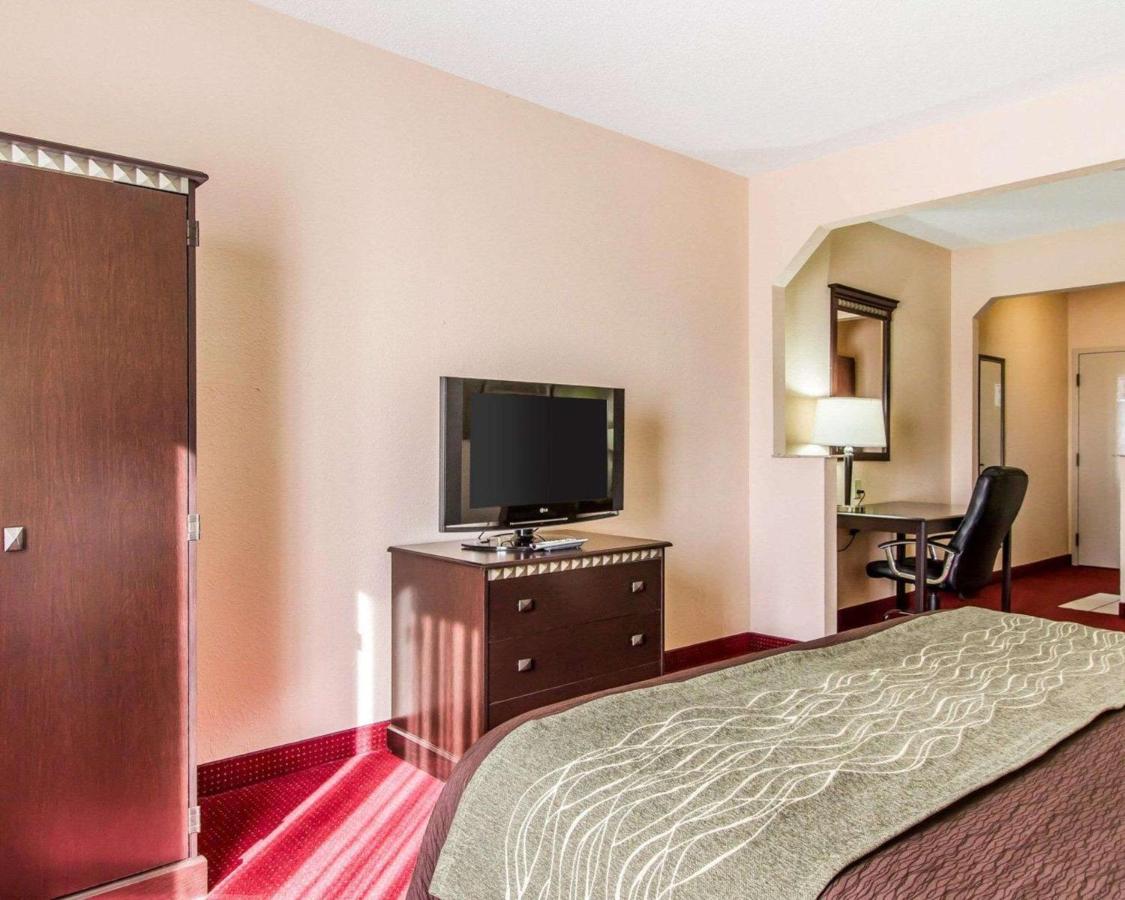 King Suite with Sofa Bed - Non-Smoking at Comfort Inn & Suites Lincoln Talladega I-20