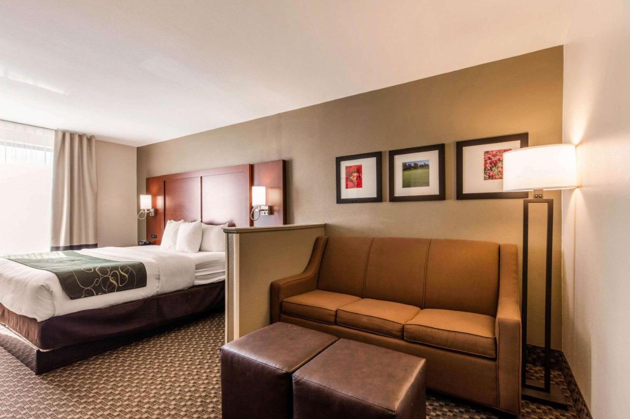 King Suite - Non-Smoking at Comfort Suites Tuscaloosa near University