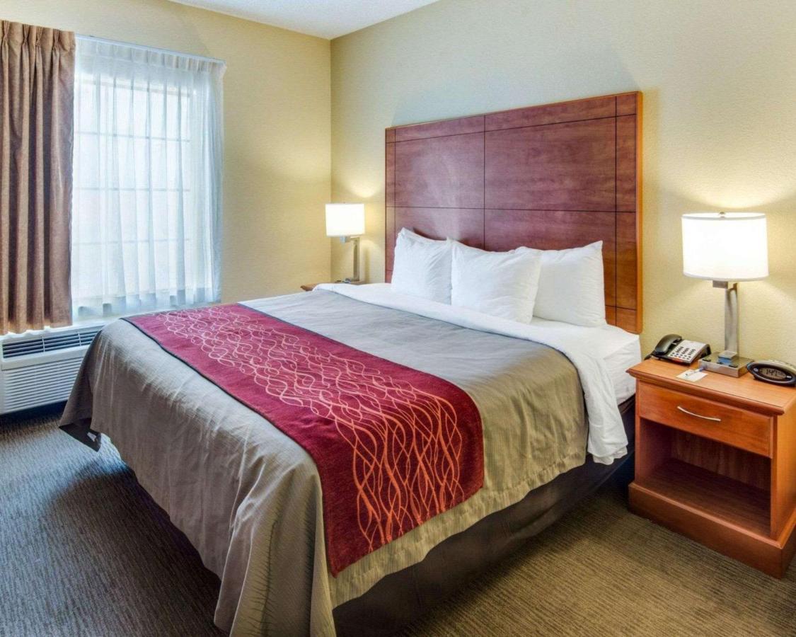 Room #48878709 at Comfort Inn & Suites El Dorado