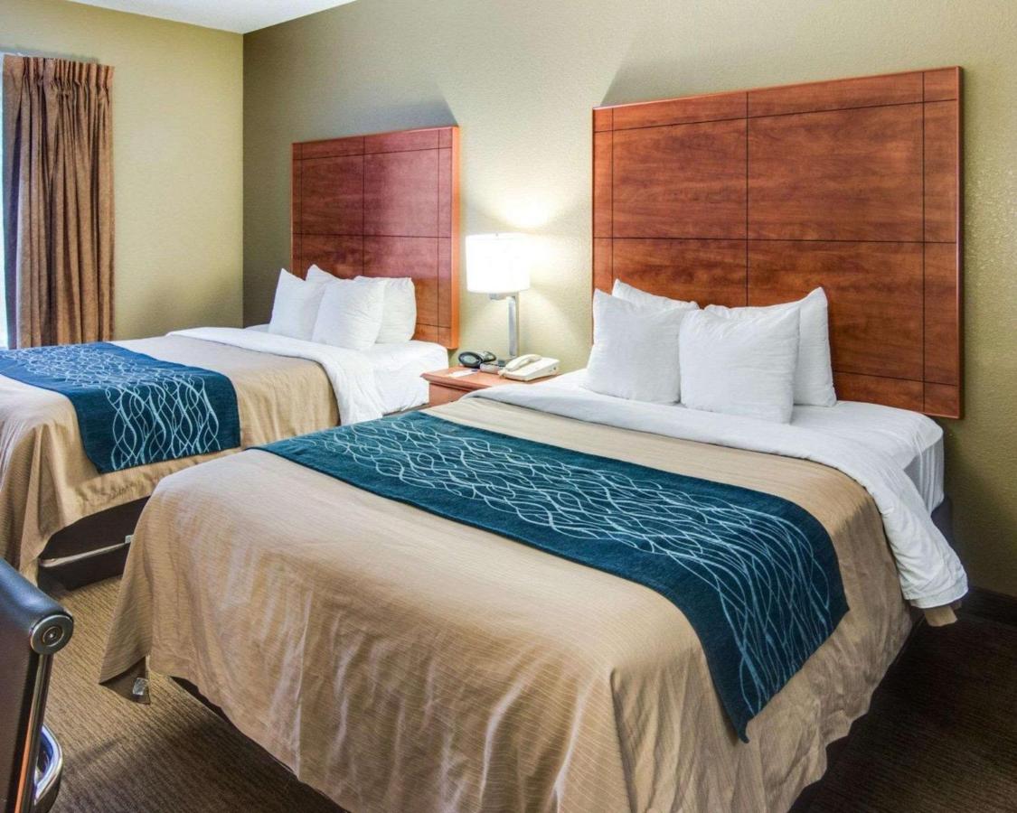 Room #48878710 at Comfort Inn & Suites El Dorado